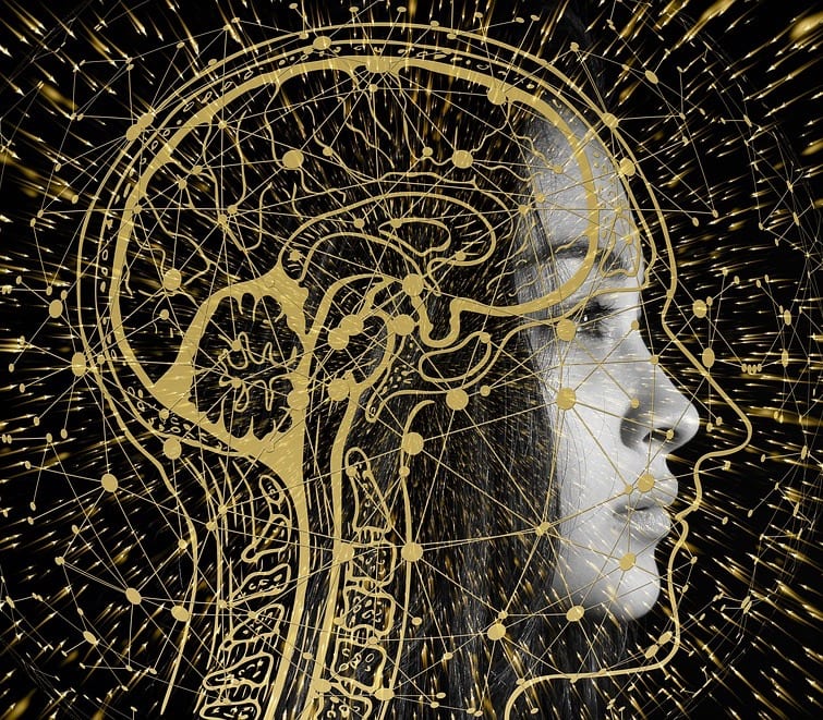 artistic rendition of woman's face and brain